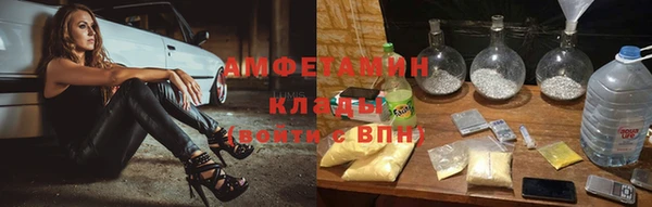 прущие грибы Новокубанск