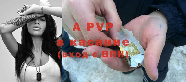 дживик Новозыбков