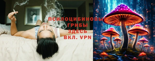 прущие грибы Новокубанск