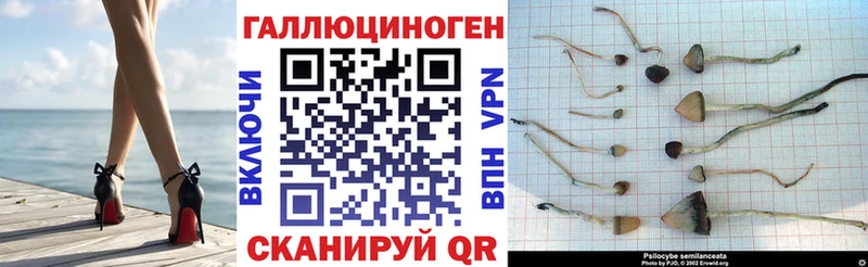 Галлюциногенные грибы Cubensis  Киренск 